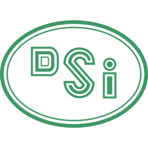 Dsi Logo