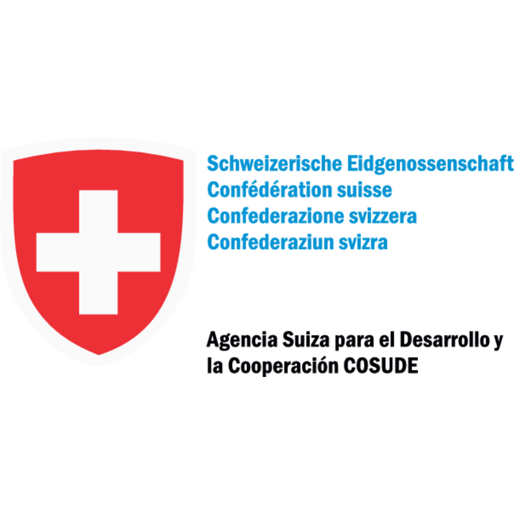 Agencia Suiza para el Desarrollo, Consulting