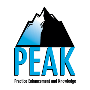 PEAK(33) Logo