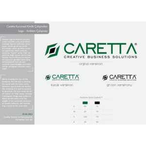 Caretta Software & Consultancy Services Ltd. Logo