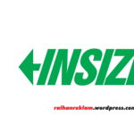 Insize Logo