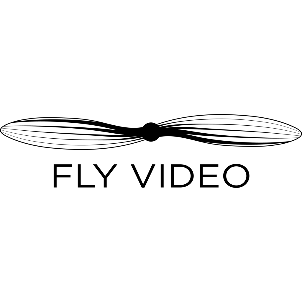 Logo, Unclassified, Ukraine, FlyVideo