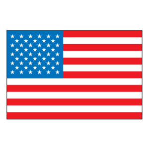 United States of America Logo