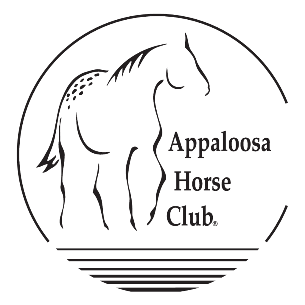 Appaloosa,Horse,Club