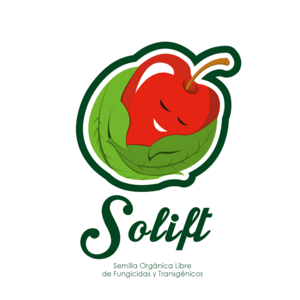 Solift Logo
