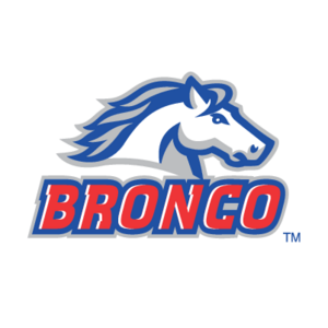 Bronco(252) Logo