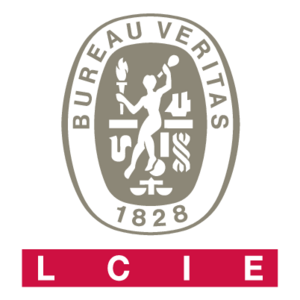 Bureau Veritas(400) Logo