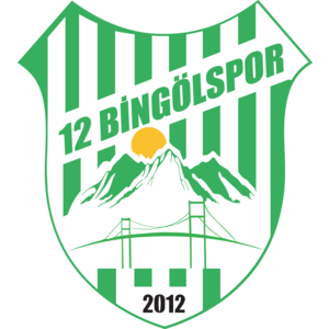 12 Bingölspor Logo
