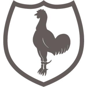 FC Tottenham Hotspur Logo