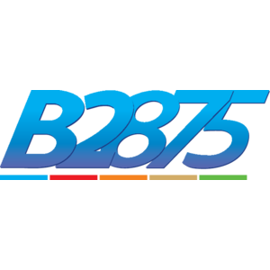 B2875 Logo