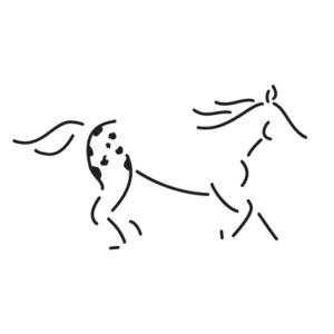 Walkaloosa Horse Ranch Logo