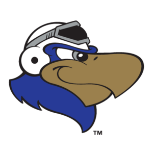 Lancaster JetHawks(74) Logo