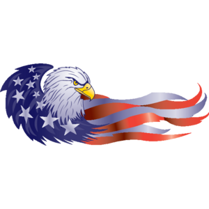 USA Logo