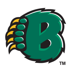 Baylor Bears(244) Logo