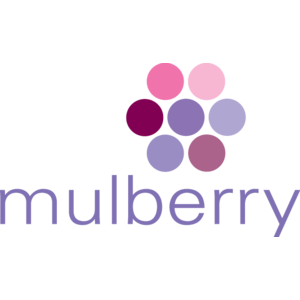 Mulberry Marketing Communications Logo
