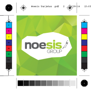Noesis Agency Group Logo
