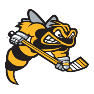 Sarnia Sting(222) Logo