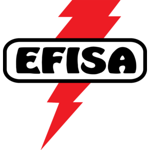 Efisa Logo