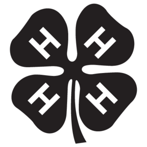4-H(41) Logo