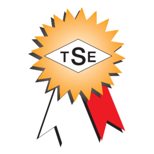 TSE(4) Logo