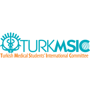 TurkMSIC Logo