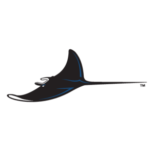 Tampa Bay Devil Rays(61) Logo