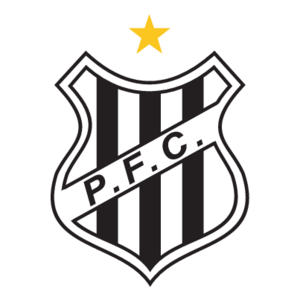 Palmeiras Futebol Clube de Sao Joao da Boa Vista-SP Logo