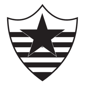 Botafogo Esporte Clube de Teresina-PI Logo