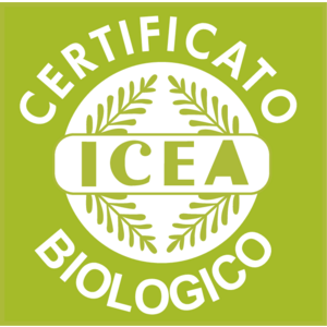 ICEA Logo