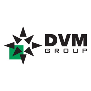 DVM Group Logo