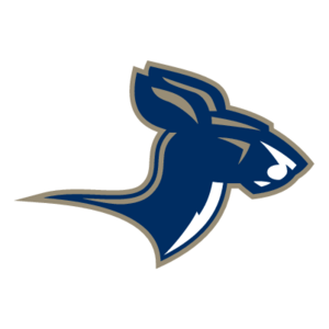 Akron Zips(150) Logo