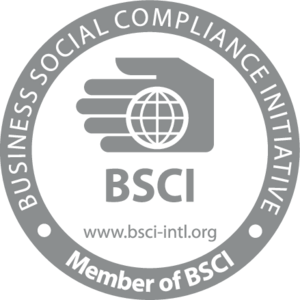 BSCI Logo