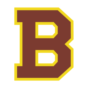 Boston Bruins(96) Logo
