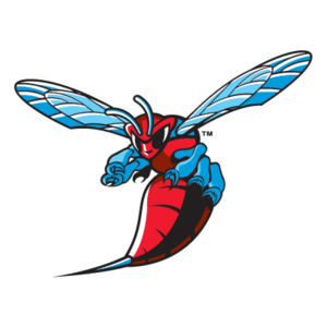 Delaware State Hornets(186) Logo