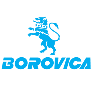 Borovica Logo