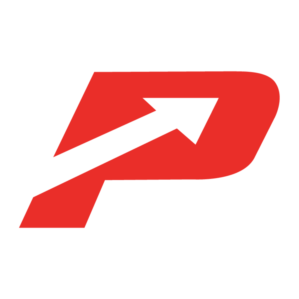 Pioner