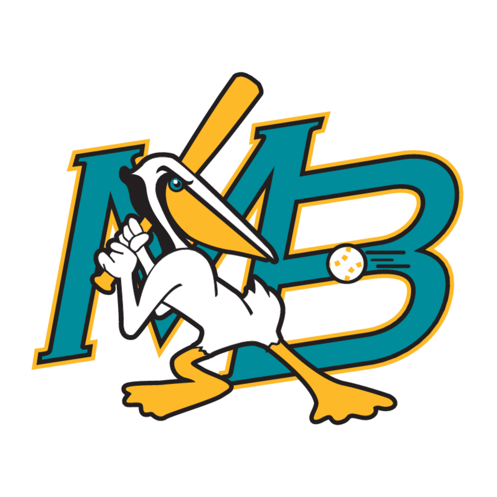 Myrtle,Beach,Pelicans(109)