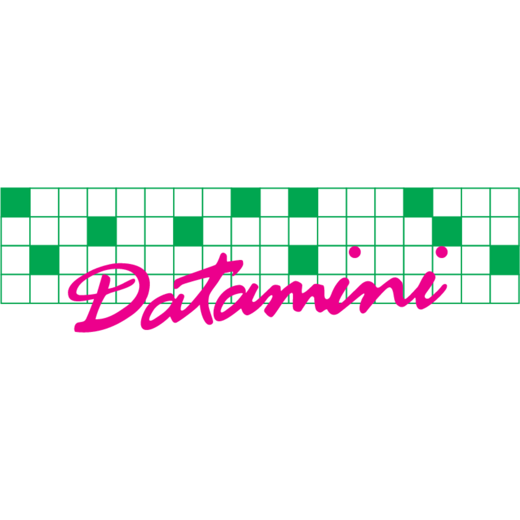 Datamini