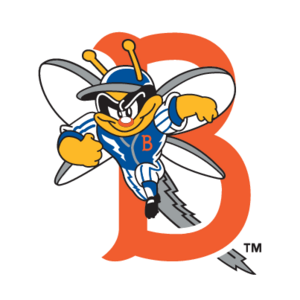 Binghamton Mets(236) Logo