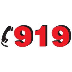 919 Logo