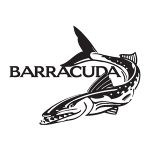 Barracuda(175) Logo