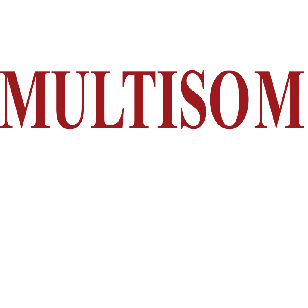 Brazil, Multisom, Logo