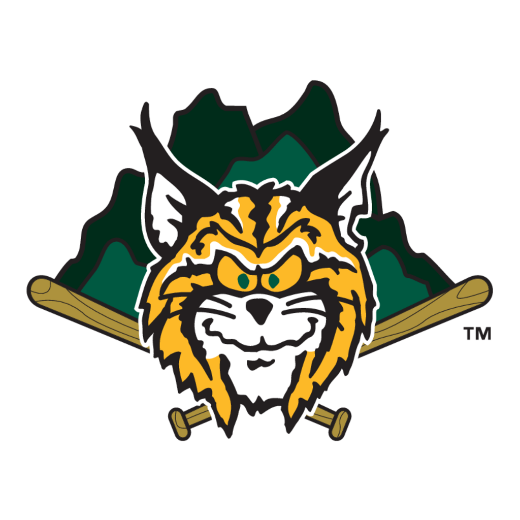 Lynchburg,Hillcats(208)