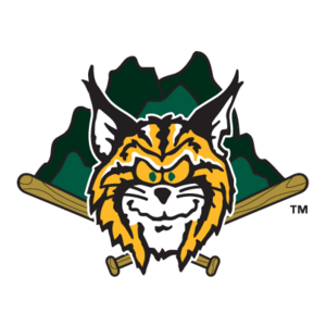 Lynchburg Hillcats(208) Logo