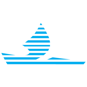 Belyj Veter(95) Logo