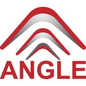 Angle General Contracting LLC