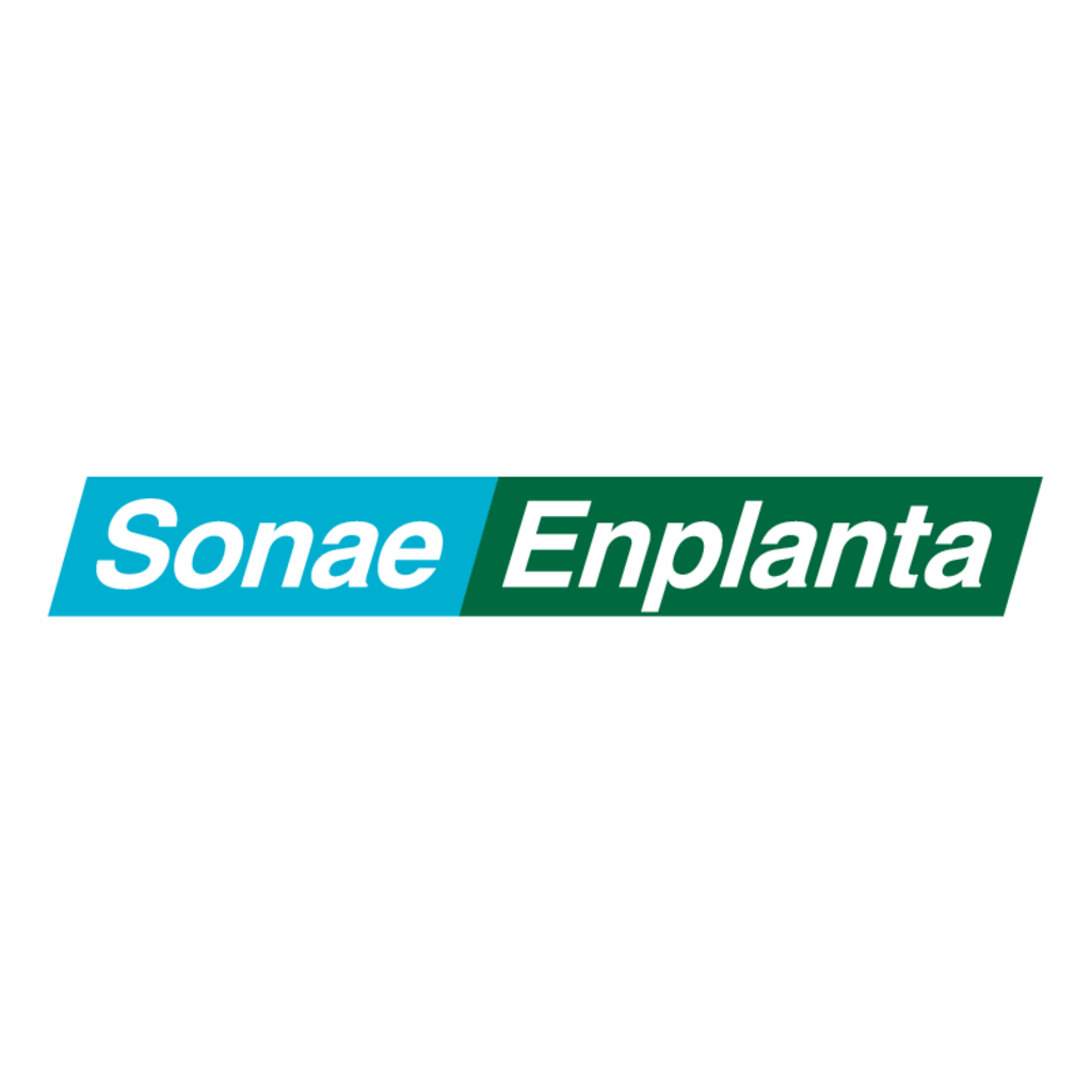 Sonae,Enplanta(59)