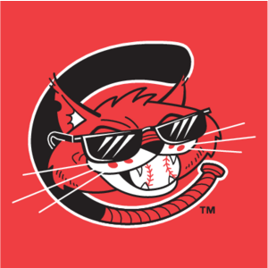 Charleston Alley Cats(213) Logo
