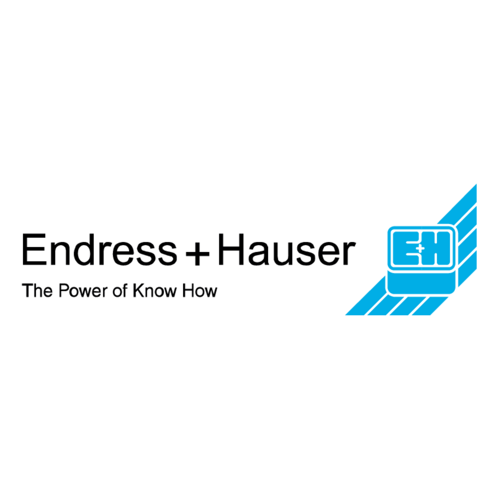 Endress+Hauser