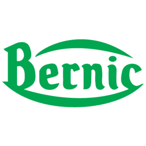 Bernic Logo